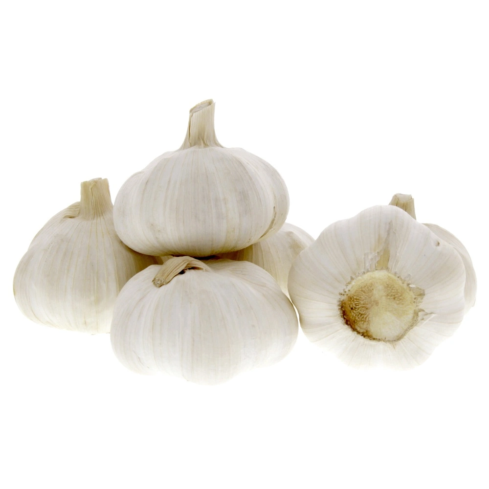 Garlic Pure White China Big 1 kg