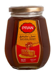 Pran Natural Honey 500g