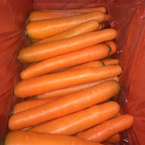 Fresh Carrots 1 kg